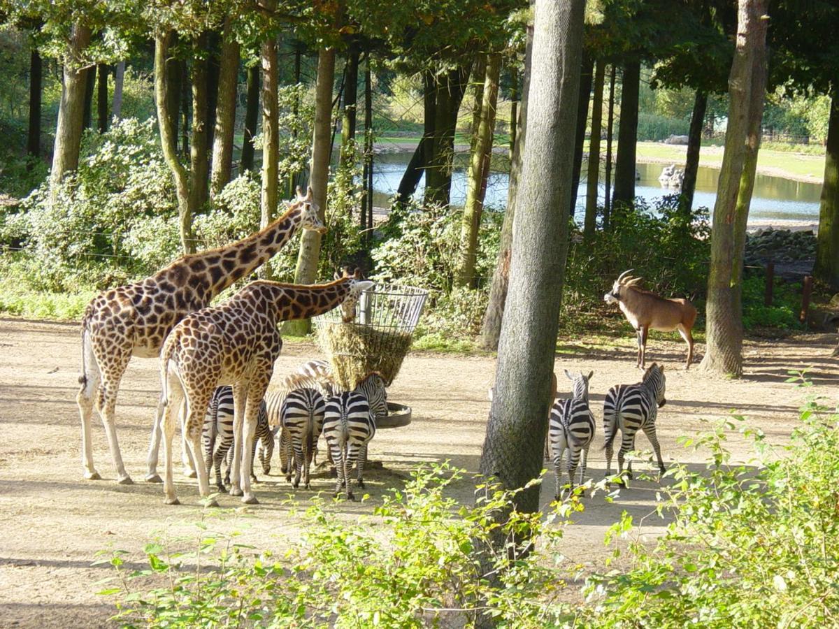Europarcs De Hooge Veluwe Otel Arnhem Dış mekan fotoğraf